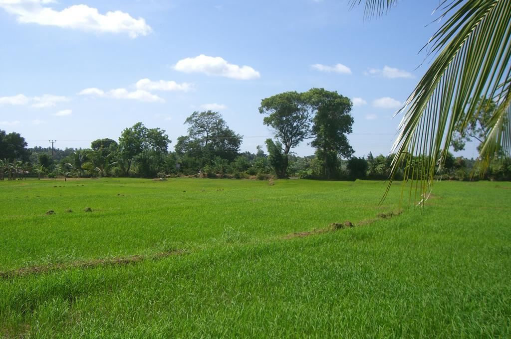 Risenlak Holiday Resort Polonnaruwa Exteriér fotografie
